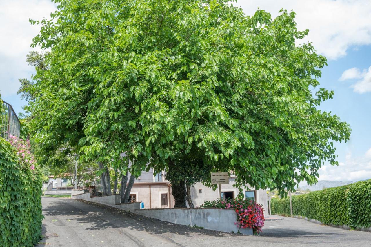 Santoro Country House Ξενοδοχείο Castiglione De Sicilia Εξωτερικό φωτογραφία