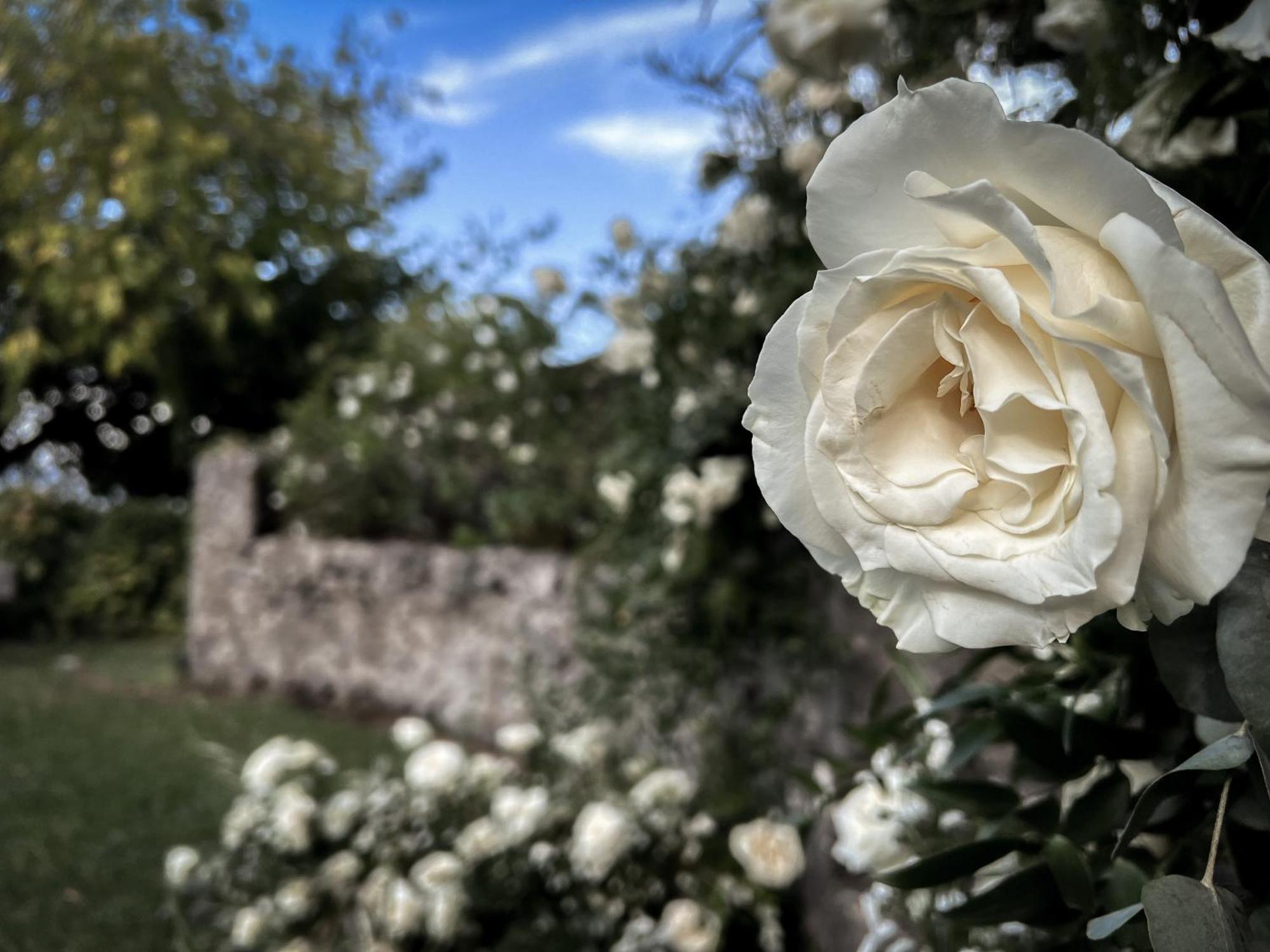 Santoro Country House Ξενοδοχείο Castiglione De Sicilia Εξωτερικό φωτογραφία